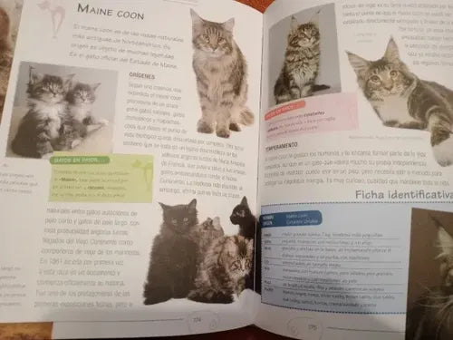 El Gran Libro De Los Gatos (tapa Dura) / Isabel Ortiz