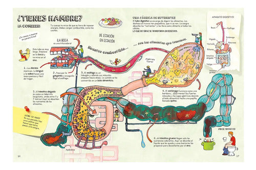 Descubre El Cuerpo Humano (tapa Dura) / Lexus