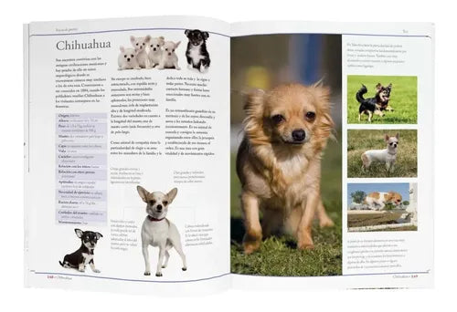 Enciclopedia De Las Razas De Perros (tapa Dura) / C.m. Comps