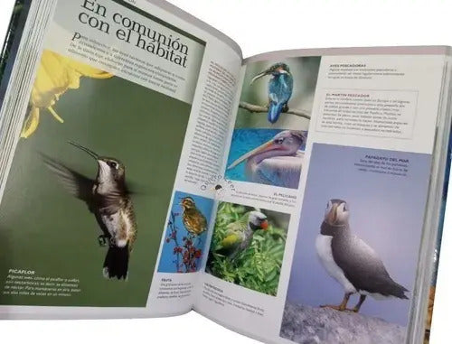 Mundo Animal Secreto Y Maravilloso (tapa Dura 3d) / Clasa