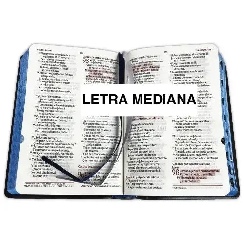 Biblia Rvr 1960 Fuente De Bendicion Tapa Azul Con Indice