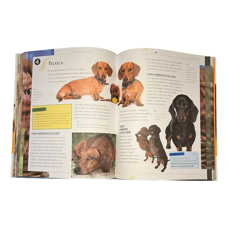 El Gran Libro De Los Perros (tapa Dura) / Servilibro