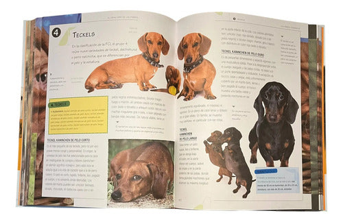 El Gran Libro De Los Perros (tapa Dura) / Servilibro