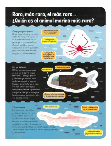 Asombrosos Animales Extraños (tapa Dura) / Lexus