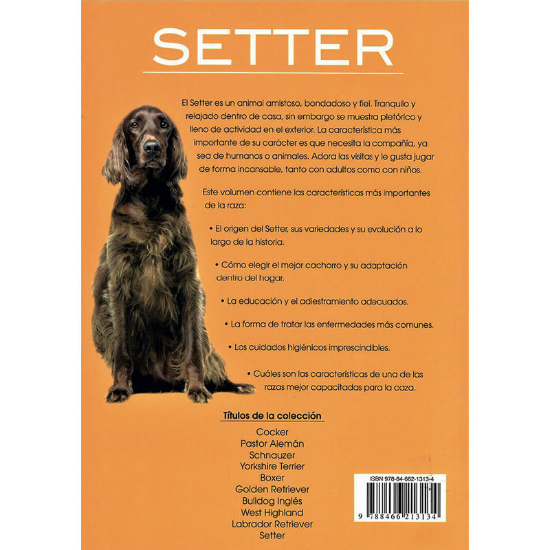 Setter / Javier Villahizan