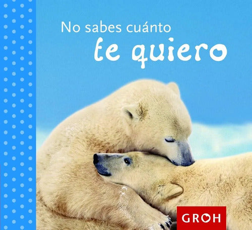 No Sabes Cuanto Te Quiero / Almudena Sasiain