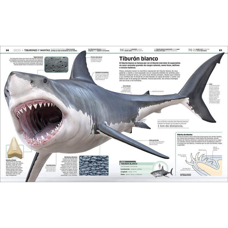 Dk Enciclopedia Animales (tapa Dura)