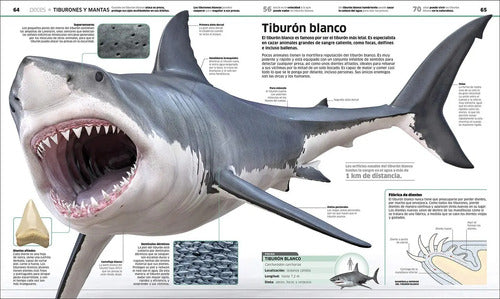 Dk Enciclopedia Animales (tapa Dura)