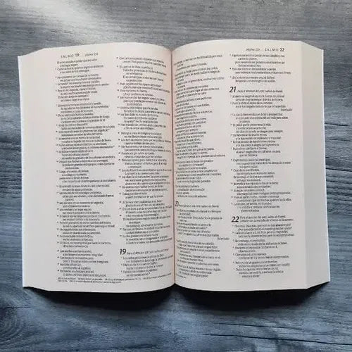 Santa Biblia Reina Valera 1960 Economica