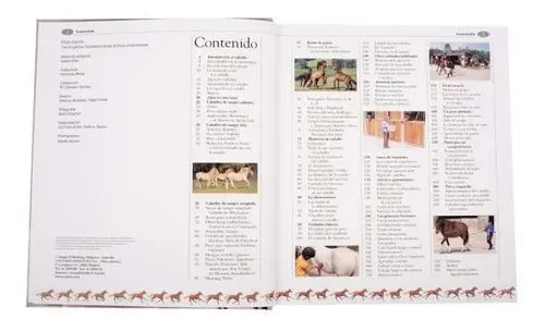 Atlas Ilustrado De Los Caballos Y Ponis (tapa Dura) / Lexus