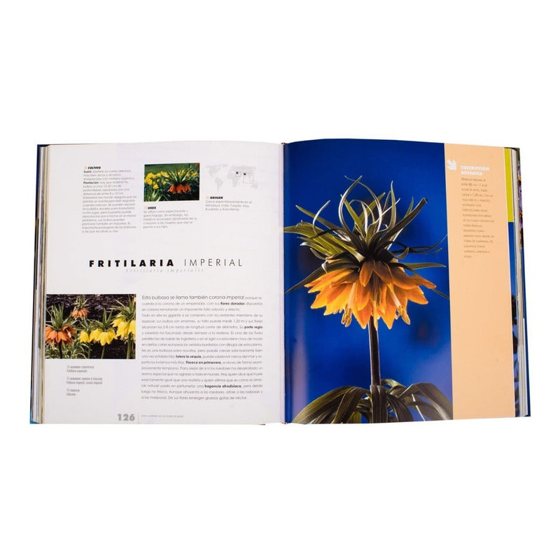 Atlas Ilustrado De Las Flores De Bulbo / Lexus