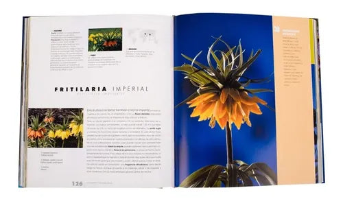 Atlas Ilustrado De Las Flores De Bulbo / Lexus