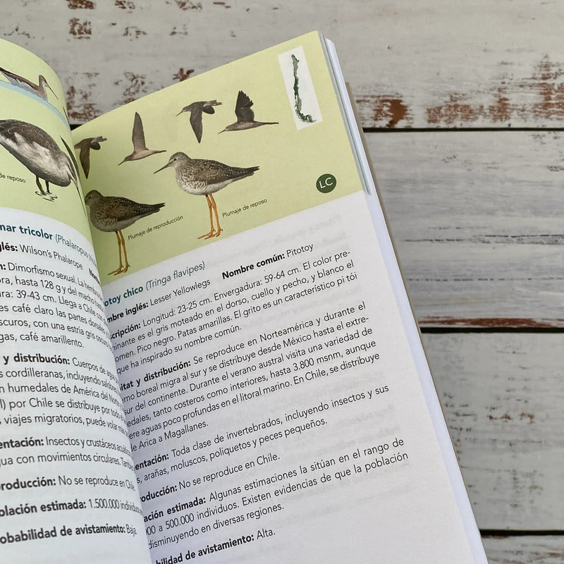 Aves De Los Humedales Chilenos Guia De Campo / Rosso Alvarez