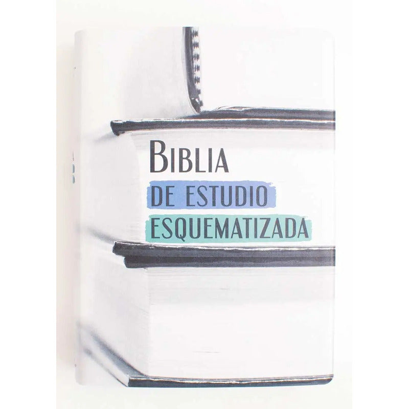 Biblia De Estudio Esquematizada / Sbu