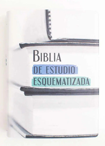 Biblia De Estudio Esquematizada / Sbu