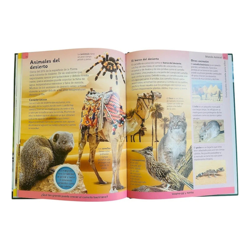 Enciclopedia Ilustrada Mundo Animal (tapa Dura)