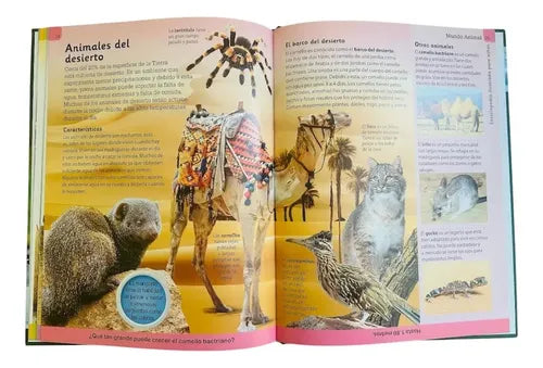 Enciclopedia Ilustrada Mundo Animal (tapa Dura)