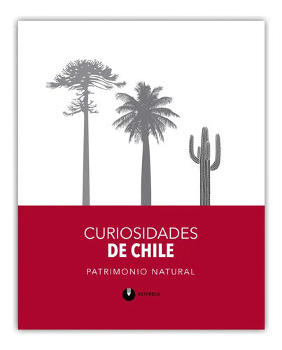 Pack Curiosidades De Chile Patrimonio Cultural Y Natural