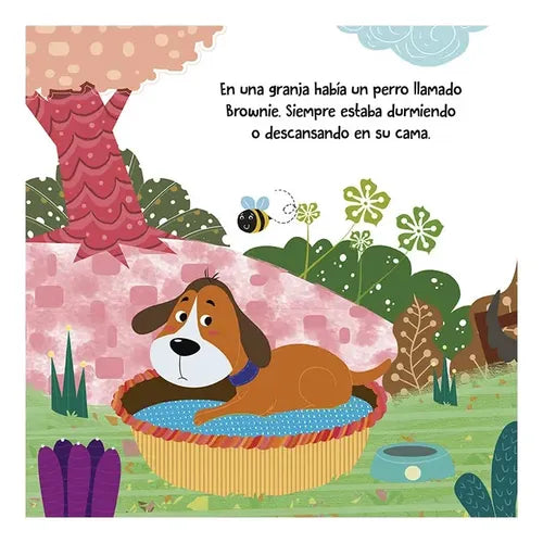 Brownie El Perro Flojo / Lexus