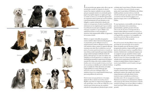 Enciclopedia De Las Razas De Perros (tapa Dura) / C.m. Comps