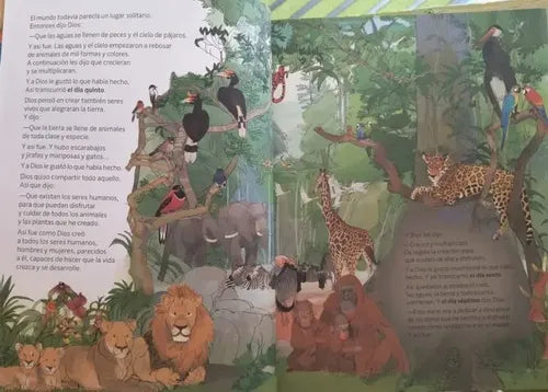 La Biblia (ilustrada Tapa Dura) / Sm