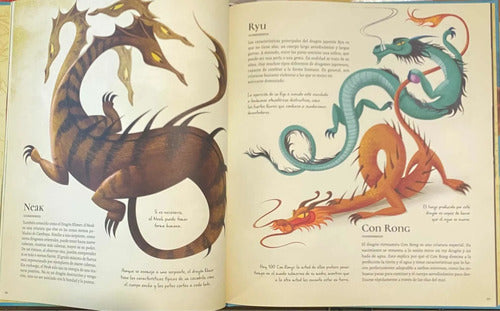 Gran Libro De Dragones (tapa Dura) / Federica Magrin