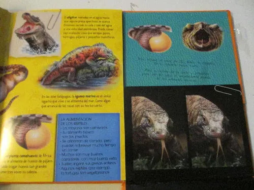 Reptiles Vision 3d (tapa Dura) / Gaby Goldsack