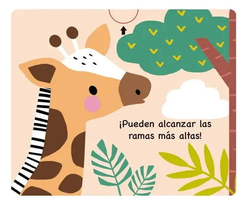 Animales Salvajes / Lexus