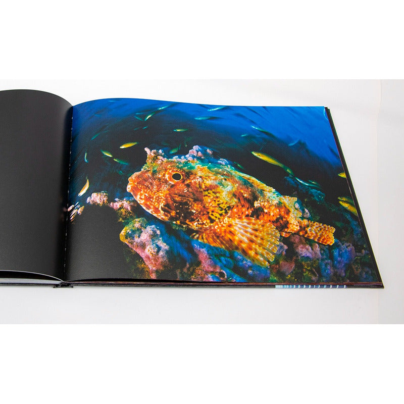 Mar De Chile (t.dura) / Eduardo Sorensen, Hector Jaramillo