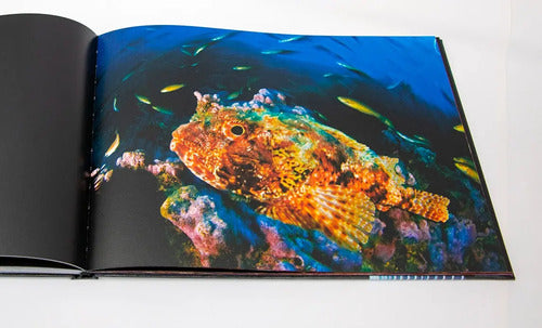 Mar De Chile (t.dura) / Eduardo Sorensen, Hector Jaramillo