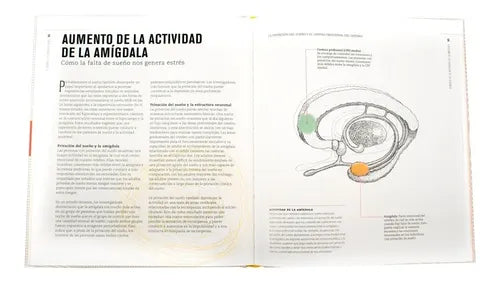 La Ciencia Del Estrés Viviendo Bajo Presión (t.dura) / Lexus