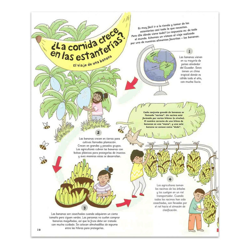 El Viaje De Las Cosas Cotidianas / Lexus