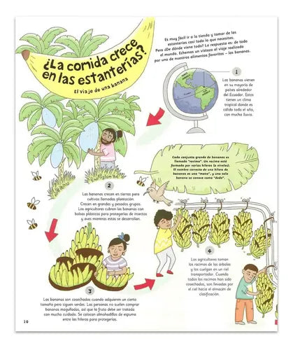 El Viaje De Las Cosas Cotidianas / Lexus