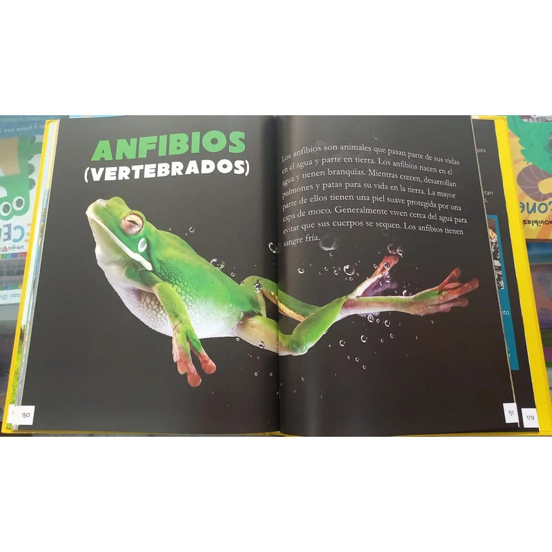 Animales Enciclopedia Infantil (tapa Dura) / Lexus