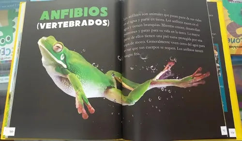 Animales Enciclopedia Infantil (tapa Dura) / Lexus