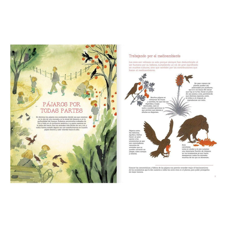 Vuelo De Pájaros Americanos / Juan José Donoso