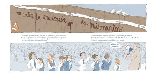 Pequeña Historia De Un Desacuerdo / Claudio Fuentes
