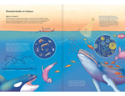 Oceánica (tapa Dura) / Catalina Velasco