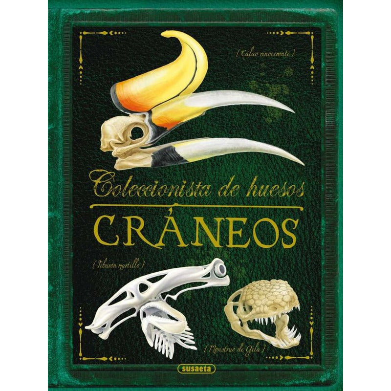 Craneos (coleccionista De Huesos) / Susaeta