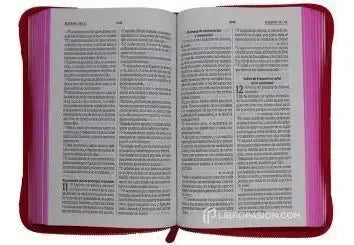 Santa Biblia Rvr 1960 Estuche Fucsia Canto Rosado Qr / Sbu