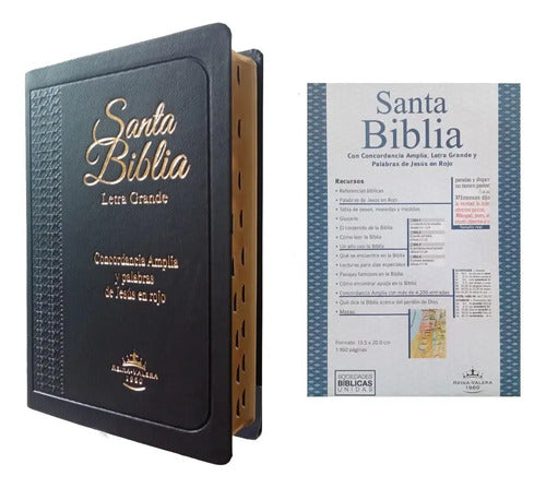 Santa Biblia Reina Valera 1960 Letra Grande Y Concordancia