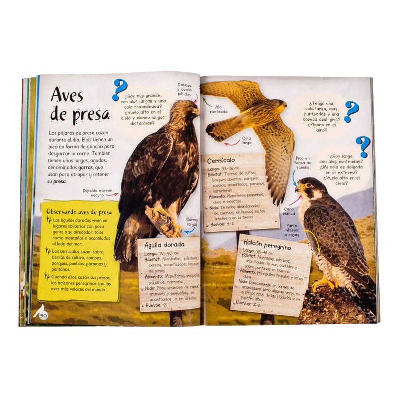 Observa La Vida Silvestre + Práctico Estuche / Lexus