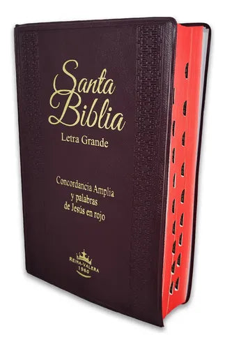 Santa Biblia Rvr1960 Letra Grande Concordancia Amplia