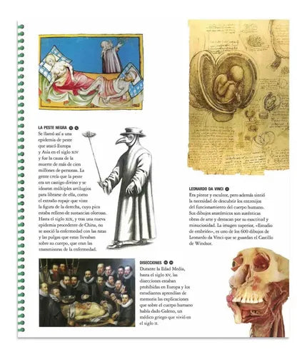 Explora El Cuerpo Humano (tapa Dura) / Lexus