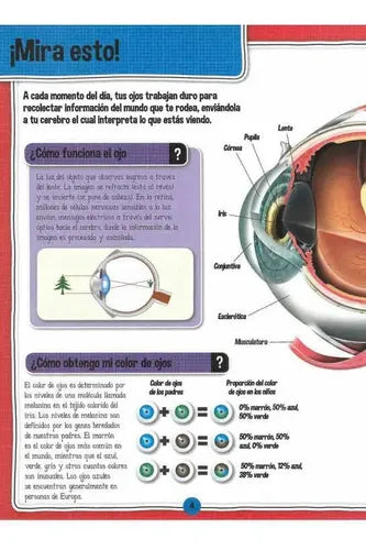 El Fascinante Cuerpo Humano Libro+maqueta Esqueleto / Lexus