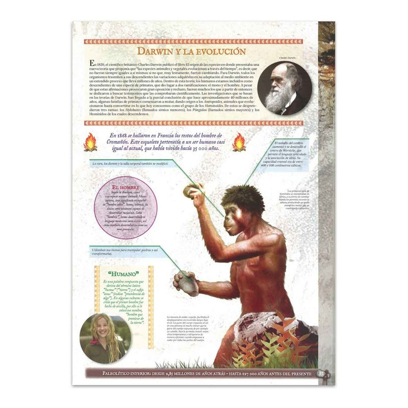 Prehistoria El Gran Libro Visual En 3d (tapa Dura) / Lexus