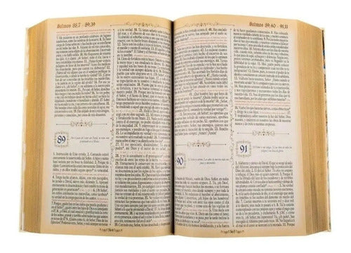 Sagrada Biblia Dorada Mediana (tapa Dura) / Lexus