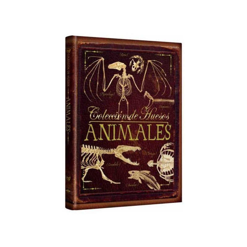 Colección De Huesos Animales (tapa Dura) / Lexus