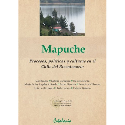 Mapuche Procesos, Políticas Y Culturas / Jose Bengoa