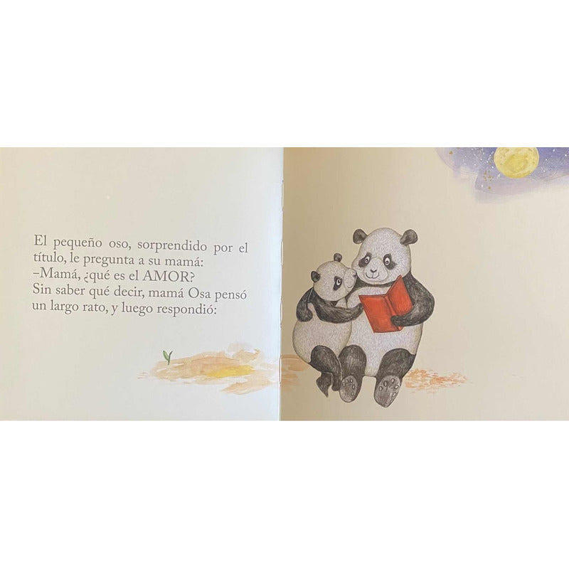 Amor (tapa Dura)  / Daniela Saumann